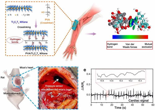 一种新型mxene bp半导体薄膜基自供电柔性感知集成系统