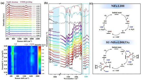 石大nature子刊 三聚酸修饰的亚尺寸镍铁 层状双氢氧化物纳米片催化剂增强水氧化